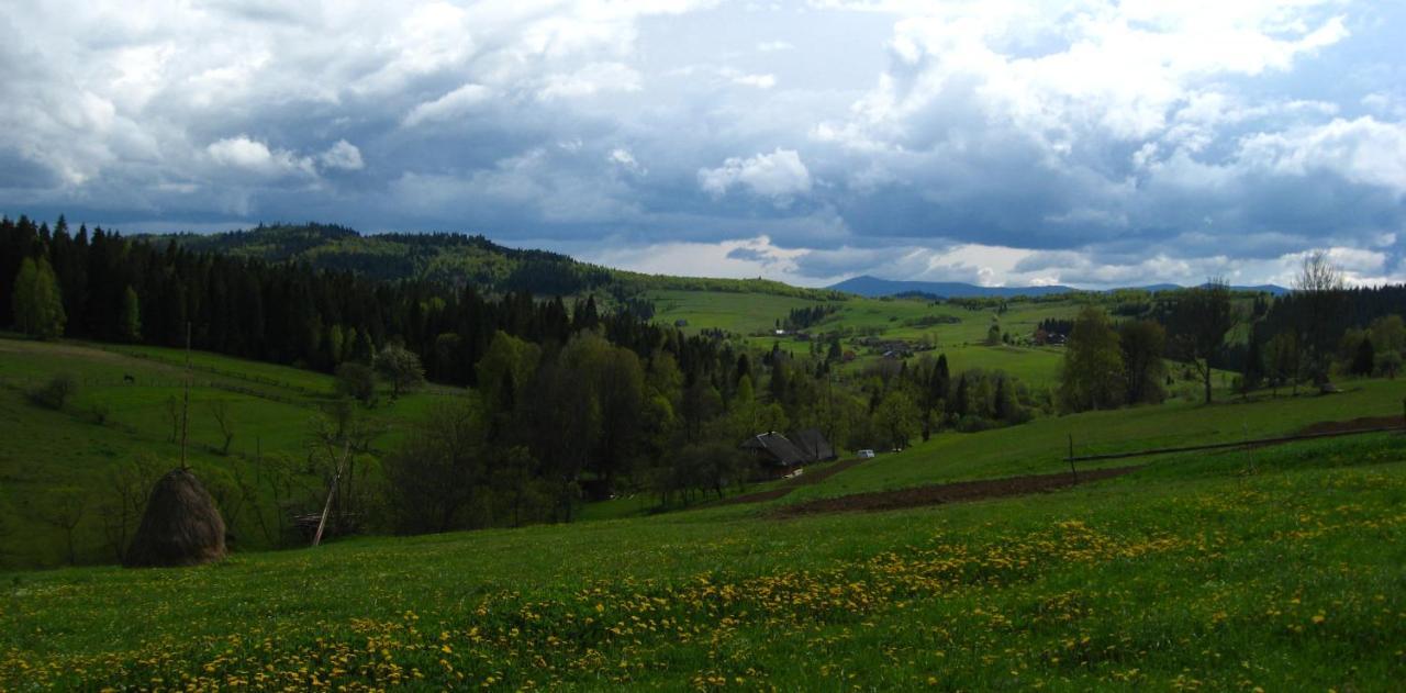 Appartamento Полонянка Bukovinka Esterno foto
