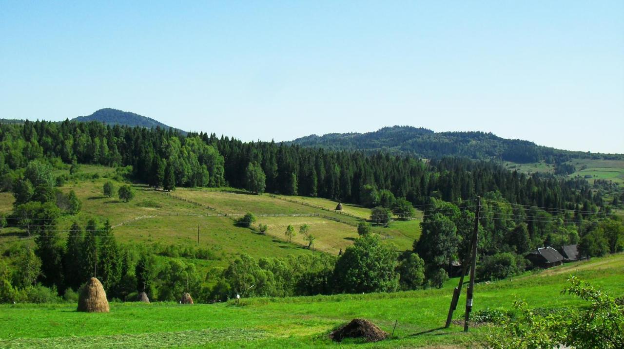 Appartamento Полонянка Bukovinka Esterno foto