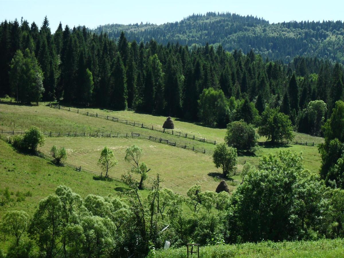 Appartamento Полонянка Bukovinka Esterno foto