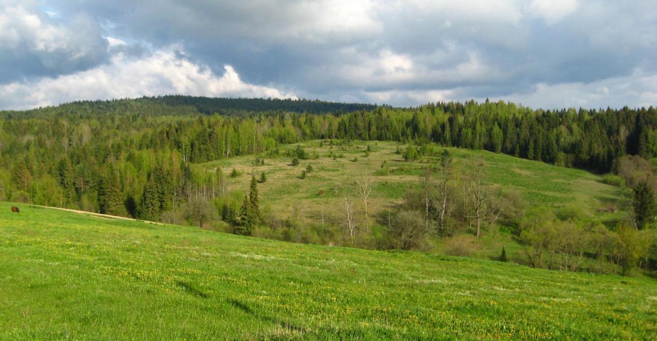 Appartamento Полонянка Bukovinka Esterno foto
