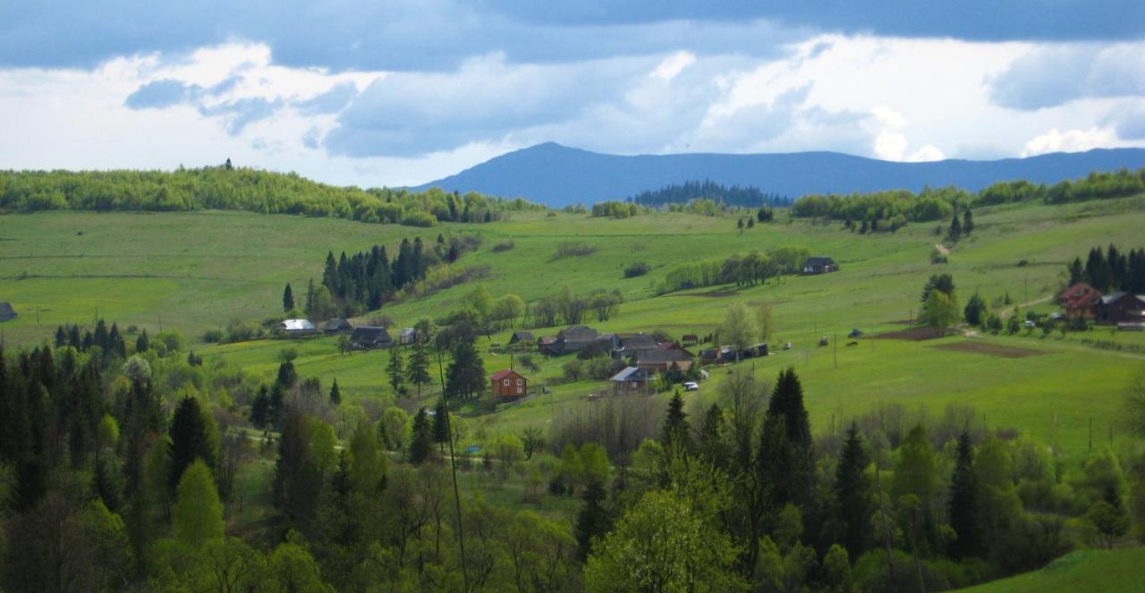 Appartamento Полонянка Bukovinka Esterno foto